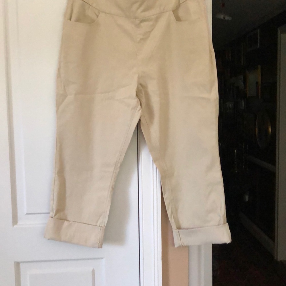 NEW Soft Surroundings crop leggings size L